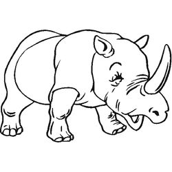 Zoo #9947