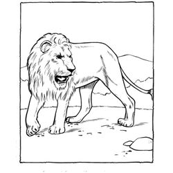 Zoo #9948