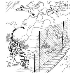 Zoo #9950