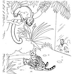 Zoo #9952