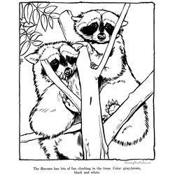 Zoo #9953