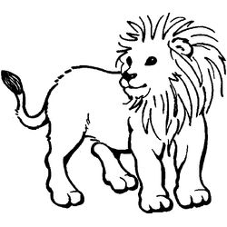 Zoo #9957