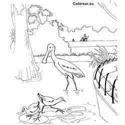 Zoo #9958
