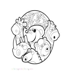 Zoo #9964
