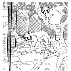 Zoo #9966