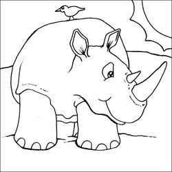 Zoo #9968