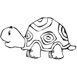 Zoo #9972