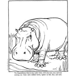 Zoo #9975