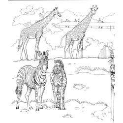 Zoo #9979