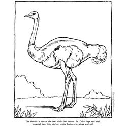 Zoo #9982