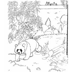 Zoo #9988