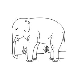 Zoo #9990