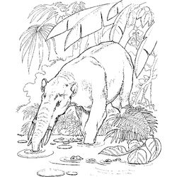 Zoo #9991