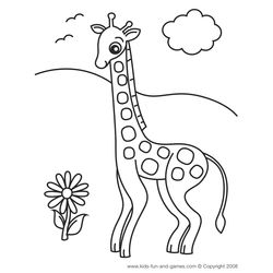 Zoo #9993