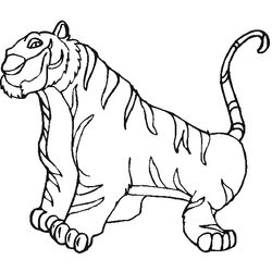 Zoo #9996