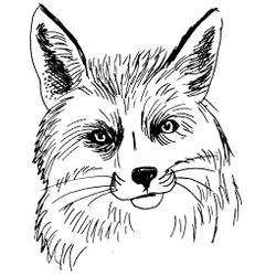Zorro #10083