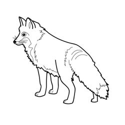 Zorro #10095