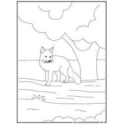 Zorro #10102