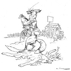 Zorro #10123