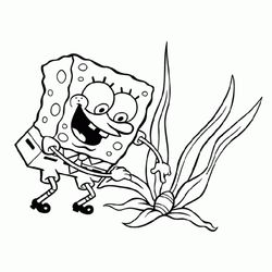 Bob Esponja #11982