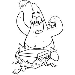 Bob Esponja #12020