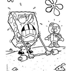Bob Esponja #12075