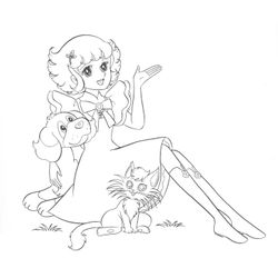 Candy Candy #12835
