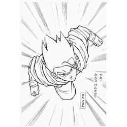 Dragon Ball Z #14080