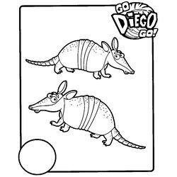 Go, Diego, Go! #14715