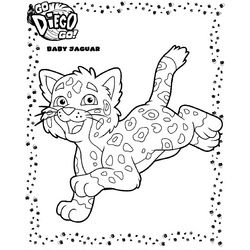 Go, Diego, Go! #14716