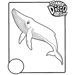 Go, Diego, Go! #14753