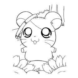 Hamtaro #14849