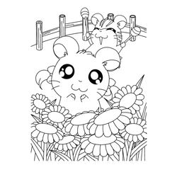 Hamtaro #14855