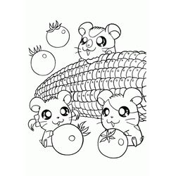 Hamtaro #14856