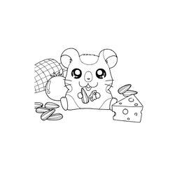 Hamtaro #14919