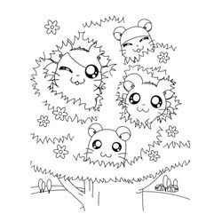 Hamtaro #14941