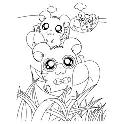 Hamtaro #14961
