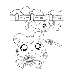 Hamtaro #14987