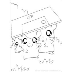 Hamtaro #15038