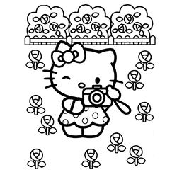 Hello Kitty #15209