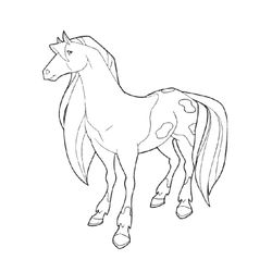 Caballos encantados #15364