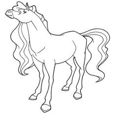 Caballos encantados #15383