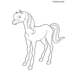 Caballos encantados #15394