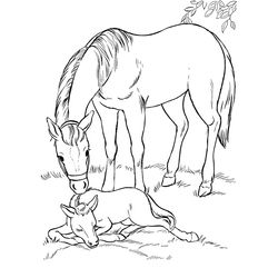 Caballos encantados #15407