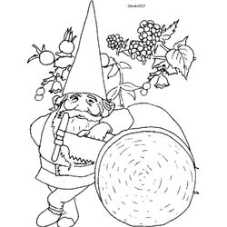 La llamada de los gnomos #15855