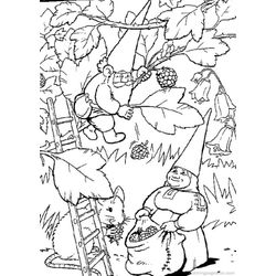 La llamada de los gnomos #15877