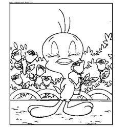 Looney Tunes #16070