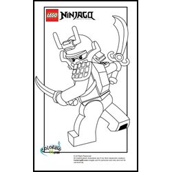 Ninjago #17329
