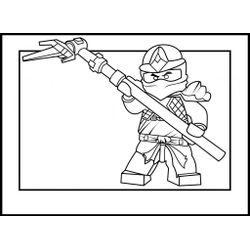 Ninjago #17336