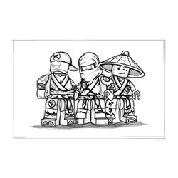 Ninjago #17341